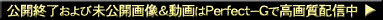 �f�l�n���B�芮�S�I���W�i�� Perfect-G Information