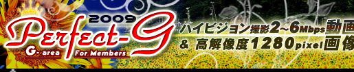 �f�l�n���B�芮�S�I���W�i�� Perfect-G Information