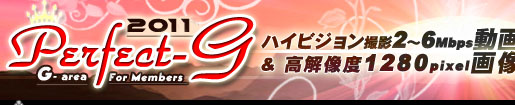 �f�l�n���B�芮�S�I���W�i�� Perfect-G Information