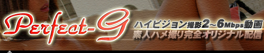 �f�l�n���B�芮�S�I���W�i�� Perfect-G Information