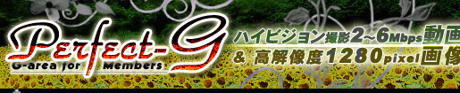 �f�l�n���B�芮�S�I���W�i�� Perfect-G Information