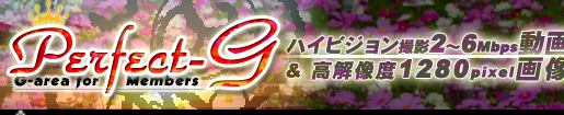 �f�l�n���B�芮�S�I���W�i�� Perfect-G Information