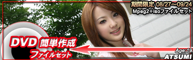 �f�l�n���B�芮�S�I���W�i�� Perfect-G Information