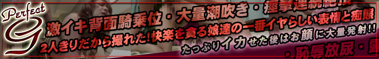 �f�l�n���B�芮�S�I���W�i�� Perfect-G Information